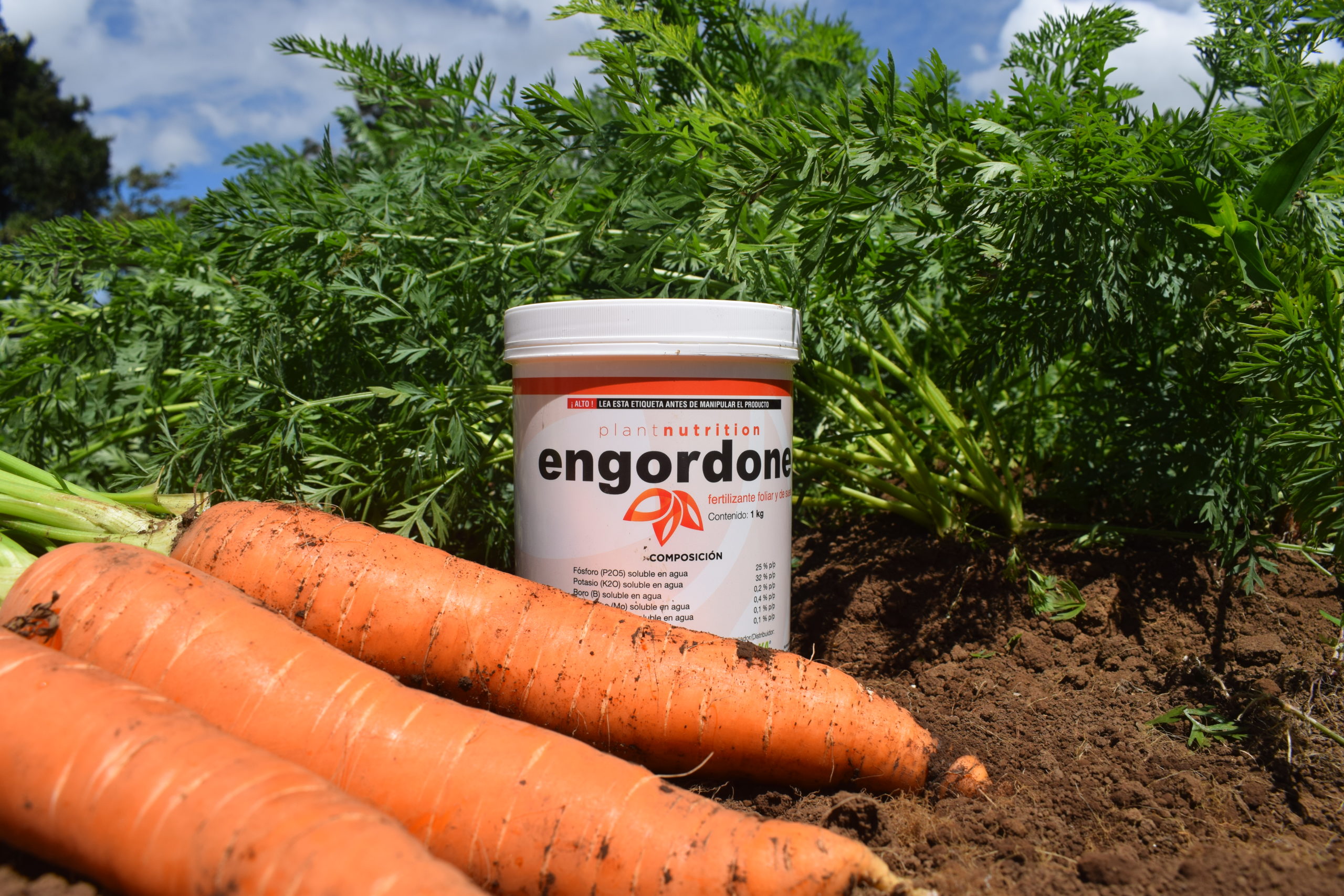 ENGORDONE: QUE SU CULTIVO CREZCA SIN DAÑO DE TEJIDOS